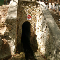 фото из отзыва ID 917849