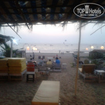 фото из отзыва ID 917391