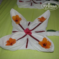 фото из отзыва ID 917974