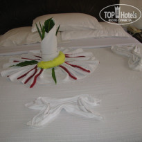 фото из отзыва ID 917974