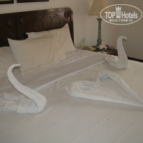 фото из отзыва ID 917974