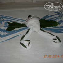 фото из отзыва ID 917974