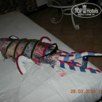 фото из отзыва ID 917974