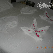 фото из отзыва ID 917974