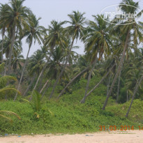 фото из отзыва ID 917974