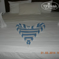 фото из отзыва ID 917974