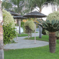 фото из отзыва ID 917438