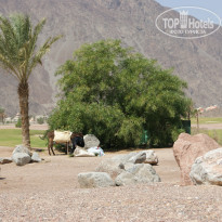 фото из отзыва ID 917678