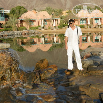 фото из отзыва ID 917678