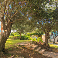 фото из отзыва ID 918099