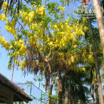 фото из отзыва ID 918113