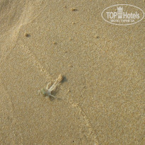 фото из отзыва ID 918113