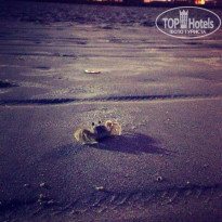 фото из отзыва ID 918224