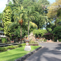 фото из отзыва ID 918319