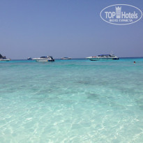 фото из отзыва ID 918328