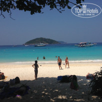 фото из отзыва ID 918328