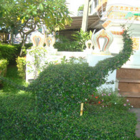 фото из отзыва ID 918331