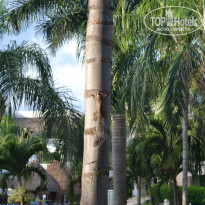 фото из отзыва ID 918370