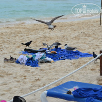 фото из отзыва ID 918370