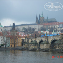 фото из отзыва ID 918485