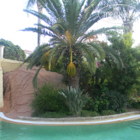 фото из отзыва ID 918713