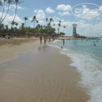 фото из отзыва ID 918746