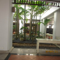 фото из отзыва ID 919051