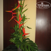 фото из отзыва ID 919092