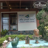 фото из отзыва ID 919261