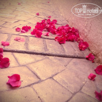 фото из отзыва ID 919287