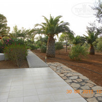 фото из отзыва ID 919373