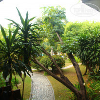 фото из отзыва ID 919715