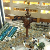 фото из отзыва ID 919728