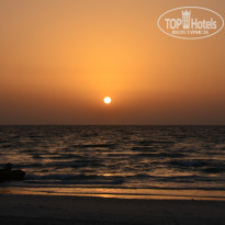 фото из отзыва ID 919745