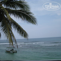 фото из отзыва ID 919825