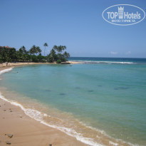 фото из отзыва ID 919825