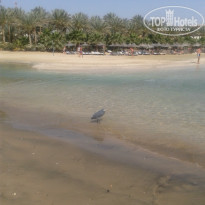 фото из отзыва ID 919895