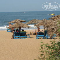 фото из отзыва ID 919944