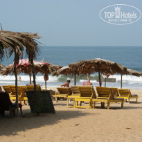 фото из отзыва ID 919944