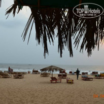 фото из отзыва ID 919893