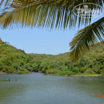 фото из отзыва ID 919893