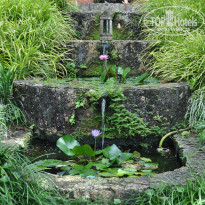 фото из отзыва ID 919983