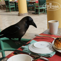 фото из отзыва ID 920219