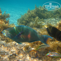 фото из отзыва ID 920219