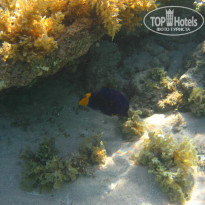 фото из отзыва ID 920219