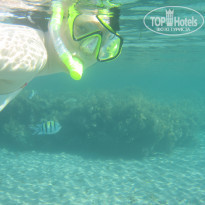 фото из отзыва ID 920219