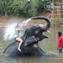 фото из отзыва ID 920222