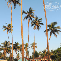 фото из отзыва ID 920222