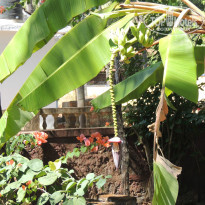 фото из отзыва ID 920222