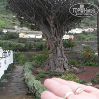 фото из отзыва ID 920373